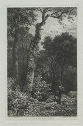 Caça à galinhola