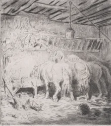 Estável, 1848.