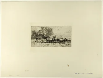 Equipe de bois