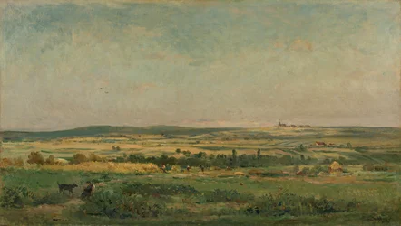 colheita de grãos