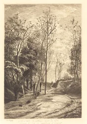 Passarinhos