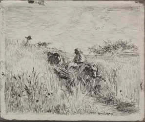 Caminho através do campo de grãos