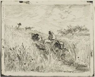 Caminho através do campo de trigo