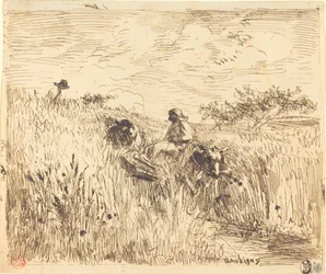 Caminho através de um campo de trigo