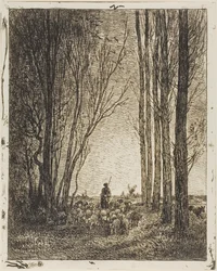 Retorno do rebanho