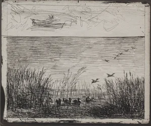 Pântano com patos, impressão original 1862, impressa em 1921.