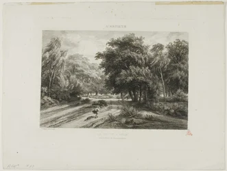 O ninho de águia na floresta de Fontainebleau