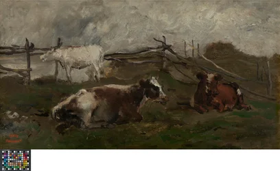 Vacas num prado
