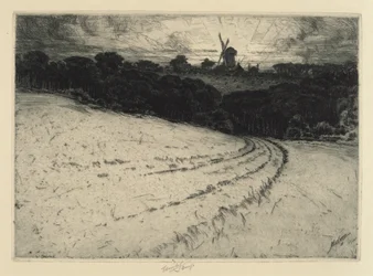 Manhã, Ilha Canonicut, 1908.