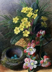 Flores de macieira e prímulas. Natureza morta com um ninho e flores. Pintura de Charles Henry Slater (1820-1890) Coleção particular