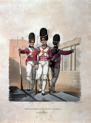 Granadeiros dos guardas de infantaria vestidos a condizer, em "Fatos do exército do Império Britânico, segundo os últimos regulamentos de 1812", gravados por JC Stadler, publicado por Colnaghi und Co. 1812-15 (c