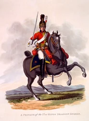 Uniforme de Privado do 1º ou Guarda do Dragão do Rei, gravado por Joseph Constantine Stadler (fl.1780-1812), 1812-15 (aquatinta colorida à mão)