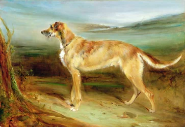 Um Deerhound numa paisagem (óleo sobre tela)