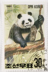 Selo/Coréia do Norte/Ailuropoda melanoleuca/Grande panda/Giant Panda