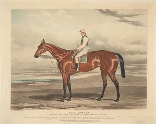 Corridas: Blue Bonnet. O vencedor das grandes St. Leger Stakes em Doncaster em 1842