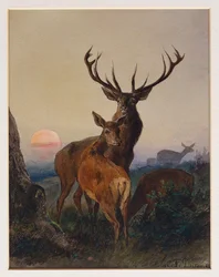 Um veado com veados em uma paisagem arborizada ao pôr do sol, 1865