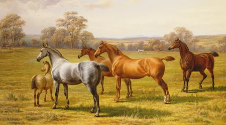 Cavalos e potro em um campo
