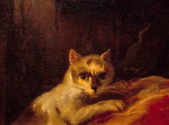 Mademoiselle de Charolais Detalhe representando o gato. Pintura de Charles Joseph Natoire (Charles-Joseph Natoire