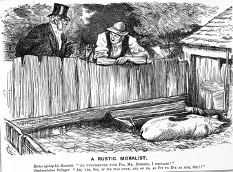 Cartoon intitulado "A Rustic Moralist", representando um reitor, um aldeão e um porco invulgarmente belo