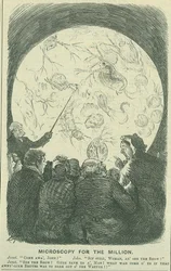 Microscopia para o "Milhões": 1878 (gravura)