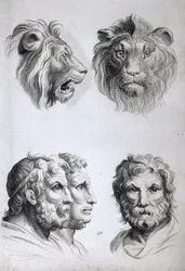 Semelhanças entre a cabeça de um leão e um homem, de &39;Um livro de retrato para quem começa a desenhar&39; Le Brun