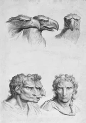 Semelhanças entre a cabeça de uma águia e um homem, de "livro de retrato para aqueles que começam a desenhar" por Le Brun