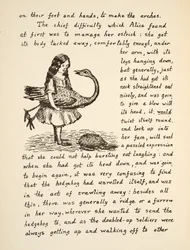 Alice que prende sua avestruz, ilustração de Alices Adventures Under Ground, bar. 1886 (fac-símile)