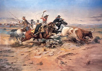 Cowboys a amarrar um boi