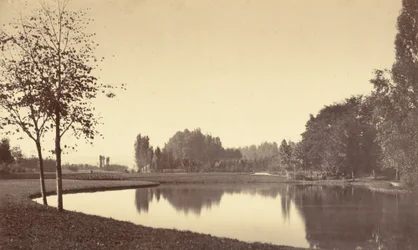 Floresta.