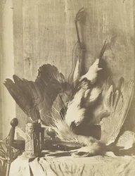 Game Still Life, c.1853-55 (impressão em papel salgado albuminizado)
