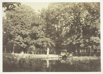 Floresta.