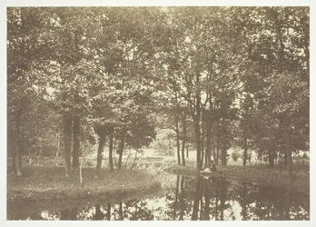 Sem título, c. 1850. [Árvores perto da água no Bois de Boulogne, um parque em Paris].