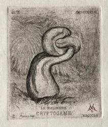 O Criptograma Doentio, 1860.