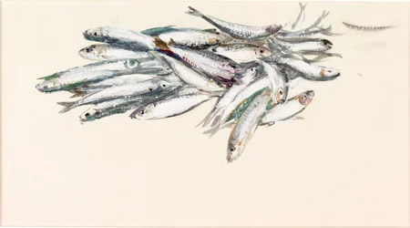 Estudo de Peixe (bodycolour e aquarela sobre papel)