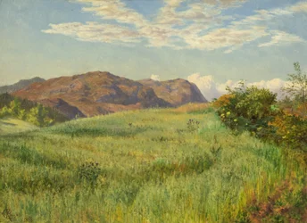 Um campo de aveia das Highlands