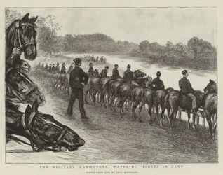 As manobras militares, regando cavalos no acampamento