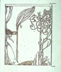 Ilustração para 