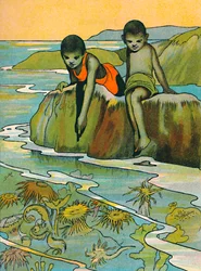 Um jardim no mar, 1912