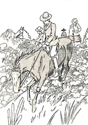 A maioria desses animais é caçada, 1912