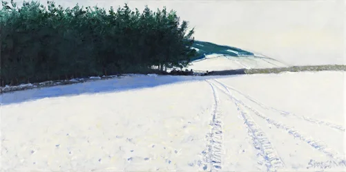 Árvores escuras e neve, 2011 (óleo sobre tela)