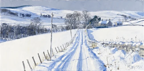 Neve, Newhall, 2010 (óleo sobre tela)