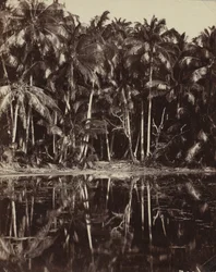Tetiaroa - Uma lagoa de Paumotu, década de 1880 ou 1890.