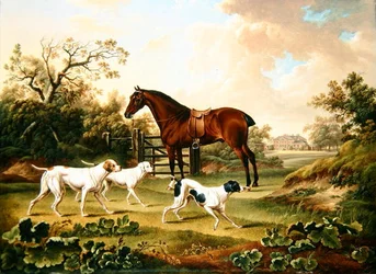 Um Caçador de Baía e Três Pontos numa Paisagem com Lyston Hall Beyond (óleo sobre tela)