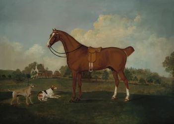 Um caçador de baía com dois cães em uma paisagem, com uma mansão além, 1779