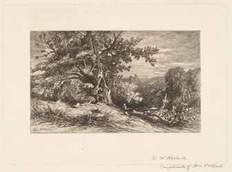 Paisagem com árvore caída