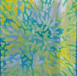 Acrapora, 2000 (óleo no gesso)
