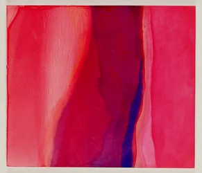 Sari Fish, 2000 (óleo no gesso)