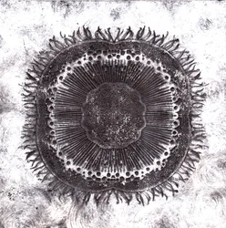 Células vegetais, 2019 (gravura de ponto seco)