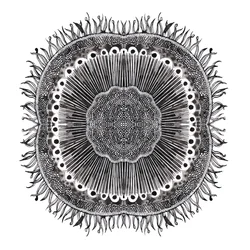 Plant Cells, 2019 (caneta e tinta)