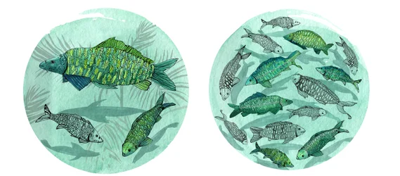 Small Fish Big Pond, 2018 (caneta e tinta, aquarela e digital)